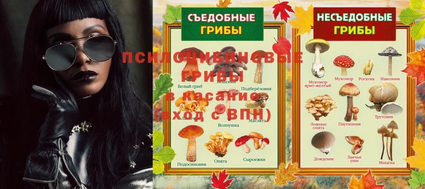 apvp Новосибирск