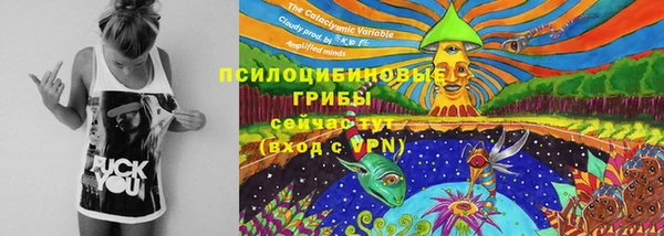 гашик Фёдоровский
