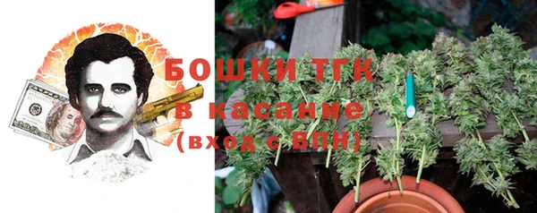 apvp Новосибирск