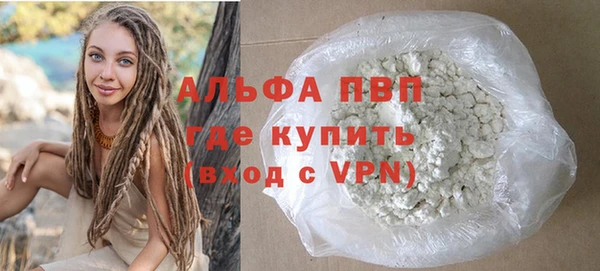 гидра Ессентукская