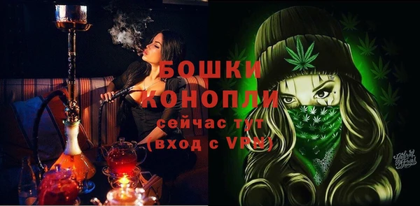 apvp Новосибирск