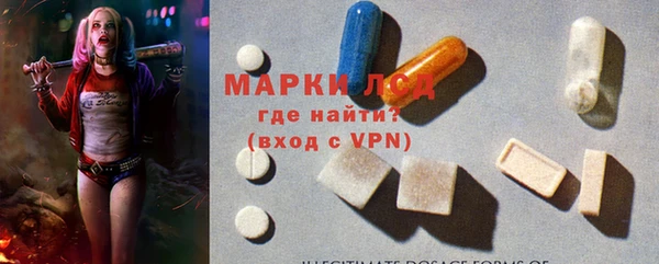 гидра Ессентукская