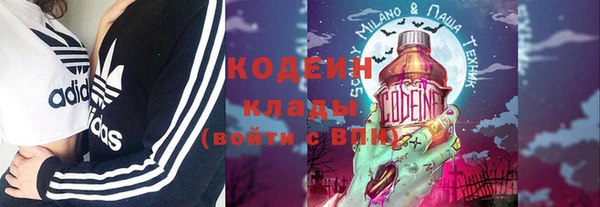 apvp Новосибирск