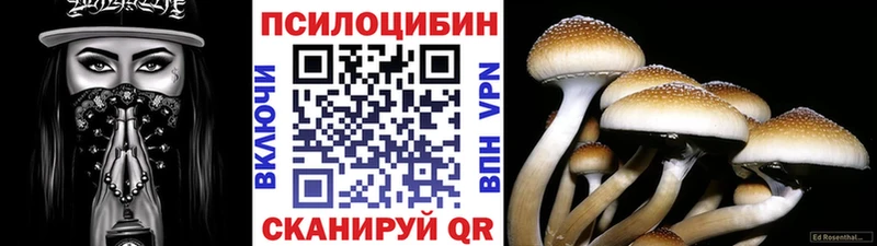Купить  Орлов  Галлюциногенные грибы Psilocybine cubensis 